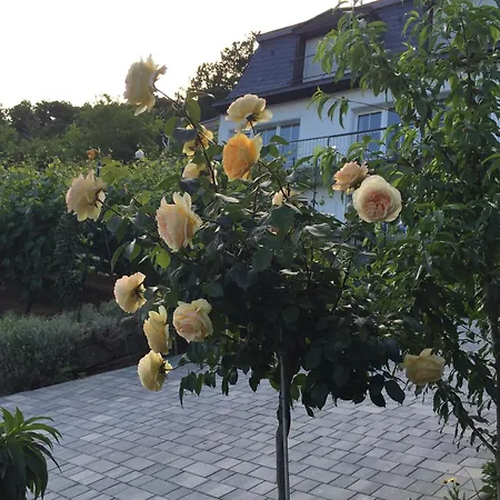 Idyllisches Wohnen Weinberg Appartement