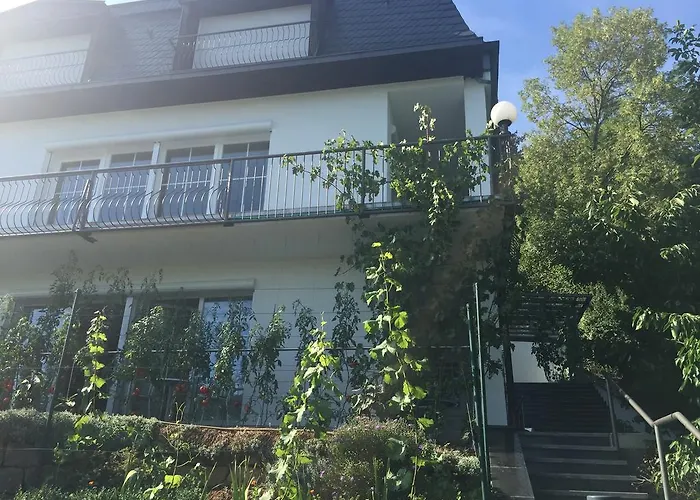 Idyllisches Wohnen Weinberg Bad Kissingen