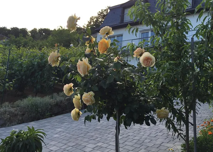 Idyllisches Wohnen Weinberg Apartment