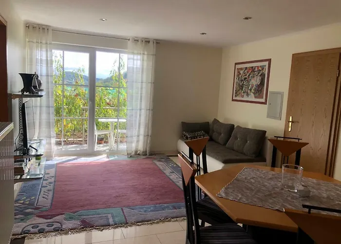 Apartment Idyllisches Wohnen Weinberg Bad Kissingen