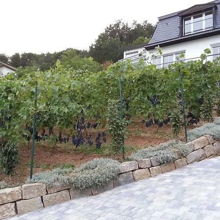 Idyllisches Wohnen Weinberg Appartement Bad Kissingen