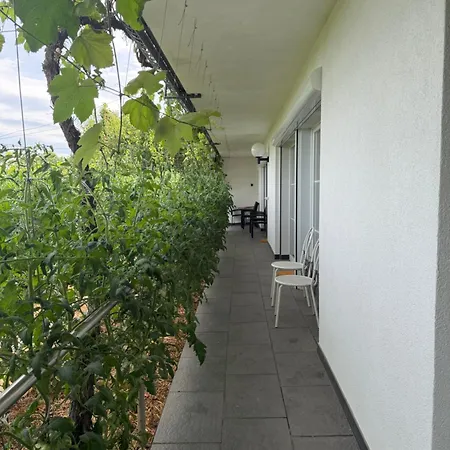 Idyllisches Wohnen Weinberg Appartamento