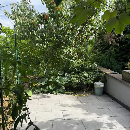 Appartamento Idyllisches Wohnen Weinberg Bad Kissingen