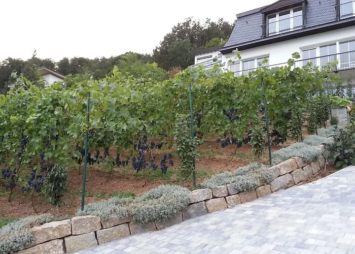 Idyllisches Wohnen Weinberg Apartman Bad Kissingen